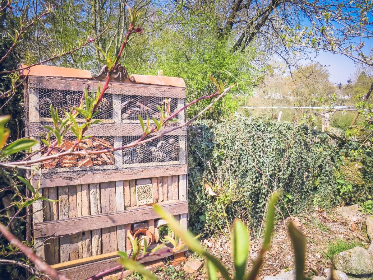 Domaine Des Fees Apartamento La Gaubretiere Exterior foto